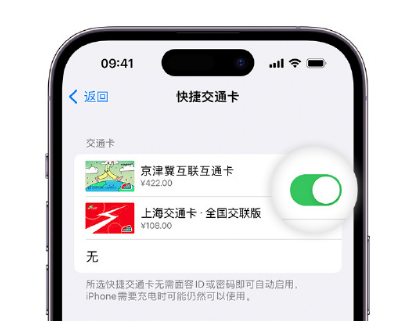 靖江apple维修点分享iPhone上更换Apple Pay快捷交通卡手绘卡面 