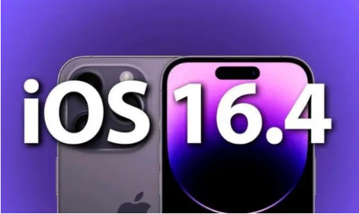 靖江苹果14维修分享：iPhone14可以升级iOS16.4beta2吗？ 