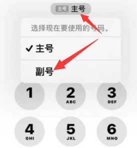 靖江苹果14维修店分享iPhone 14 Pro Max使用副卡打电话的方法 