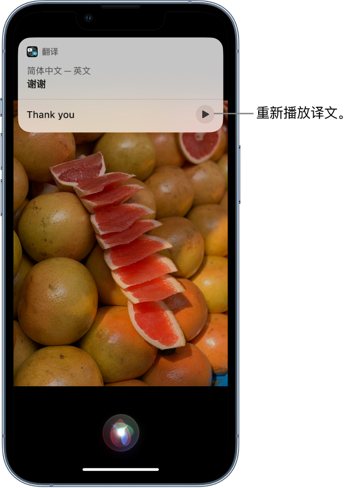 靖江苹果14维修分享 iPhone 14 机型中使用 Siri：了解 Siri 能帮你做什么 