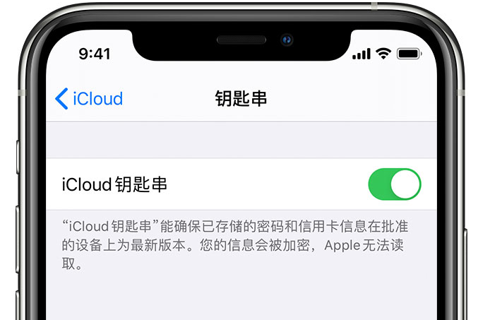靖江苹果手机维修分享在 iPhone 上开启 iCloud 钥匙串之后会储存哪些信息 