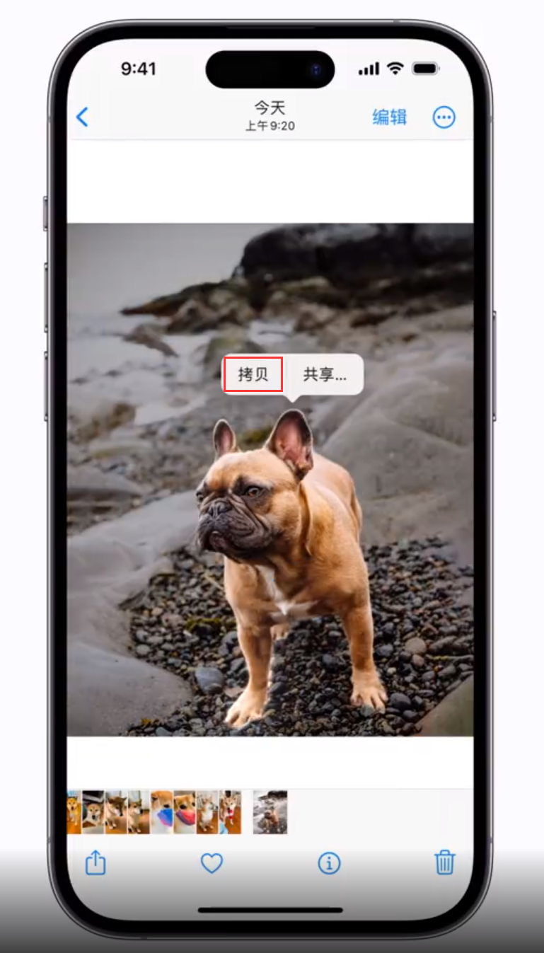 靖江苹果手机维修分享 iOS 16 自带一键抠图功能 