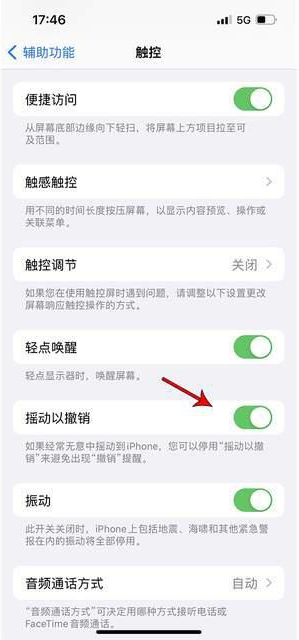 靖江苹果手机维修分享iPhone手机如何设置摇一摇删除文字 