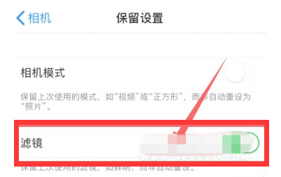 靖江苹果13维修分享iPhone13拍照有绿点是怎么回事 