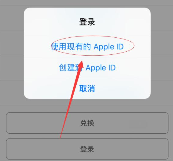 靖江苹果手机维修分享两台iPhone设备可以同时登录一个Apple ID吗 