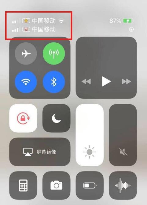靖江苹果手机维修分享为 iPhone 12 双卡设置标签 
