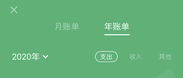 靖江苹果手机维修分享如何在 iPhone 上查看支付宝和微信年支出账单 