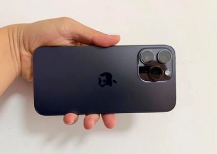靖江苹果维修点分享iPhone 14 Pro Max黑屏少见故障盘点 